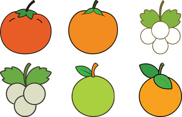 Bundle of Ziziphus, White Currant, and Ugli Fruit on White Background