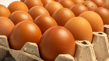The raw eggs arranged on a paper box on a white background