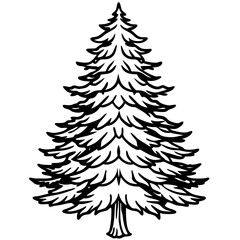 Cedar line art vector