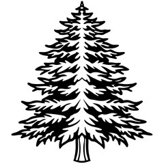 Fototapeta premium Cedar line art vector