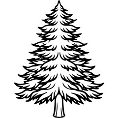 Cedar line art vector