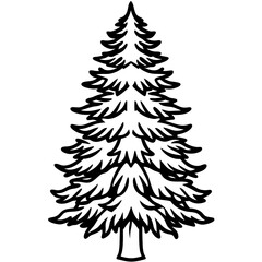 Cedar line art vector