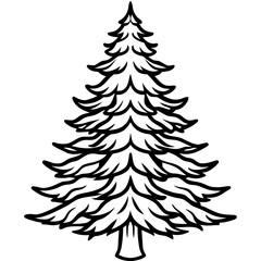 Cedar line art vector