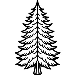 Fototapeta premium Cedar line art vector