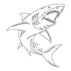 line art illustration of a shark