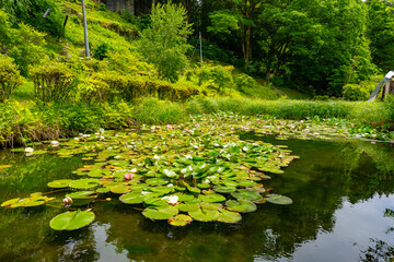 長野県 寝覚の床の風景