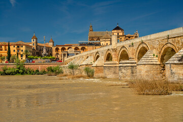 Cordoba, Spain. Roman bridge. Mezquita and Alcazar