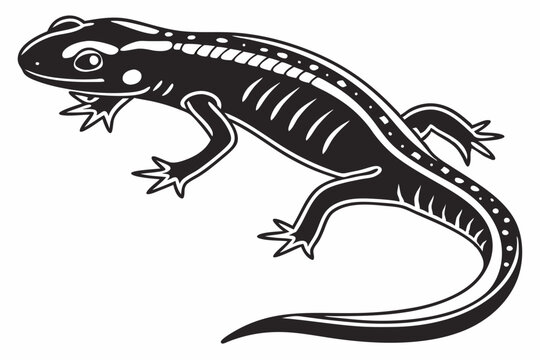 eastern newt sihouette black vector