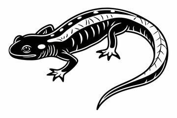 Obraz premium eastern newt sihouette black vector
