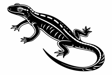 Fototapeta premium eastern newt sihouette black vector