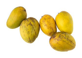 Fresh juicy ripe mangos isolated on transparent background
