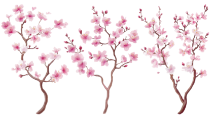 A digital illustration of four blooming cherry blossom branches with delicate pink petals and brown branches isolated on a black background.