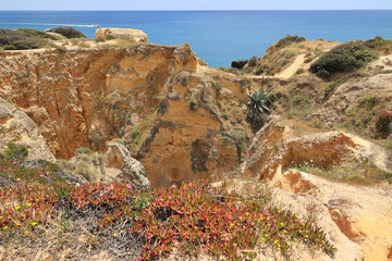 Sandstone coastal landscape in the bay of the Algarve, Albufeira, Portugal