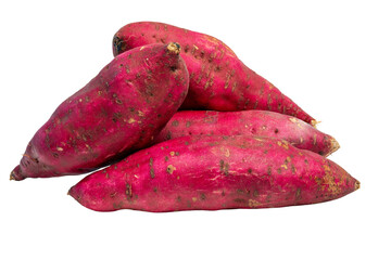 The Photo of sweet potatoes that have been washed and cleaned.