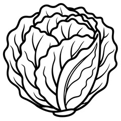 Chinese cabbage line art vector