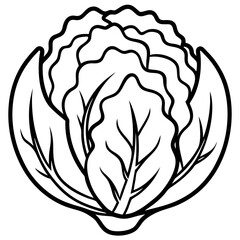 Chinese cabbage line art vector