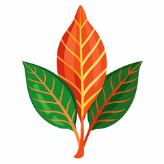 Simple Croton Vector on White © Motin