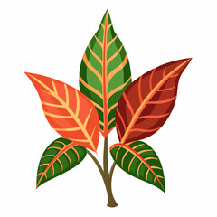 Simple Croton Vector on White © Motin