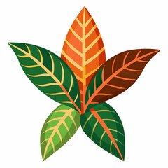 Simple Croton Vector on White © Motin