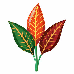 Simple Croton Vector on White © Motin