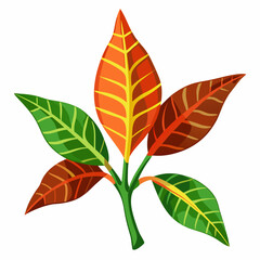 Simple Croton Vector on White © Motin