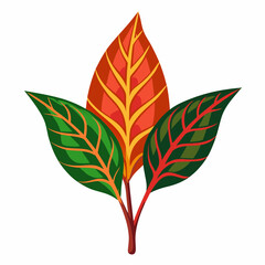 Simple Croton Vector on White © Motin