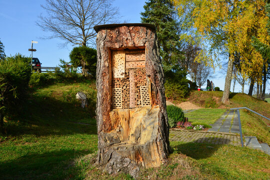 Insektenhotel, eingebaut in einen abges&auml;gten Kiefernstamm randlich an einem Friedhofsgel&auml;nde im Schwarzwald im Herbst.