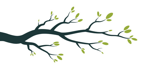 Simple Spring Branch with Green Leaves Illustration