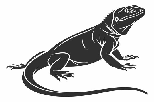 chuckwalla sihouette black vector