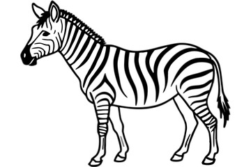 Zebra Motion Line Art