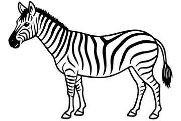 Obraz premium Zebra Motion Line Art