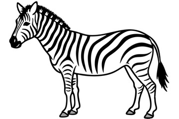 Zebra Motion Line Art