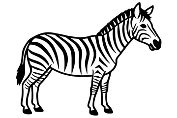 Zebra Motion Line Art