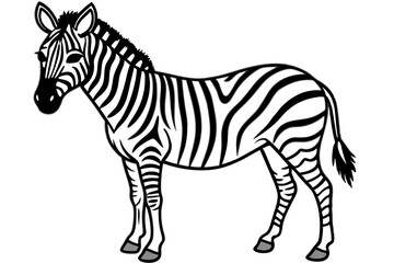 Zebra Motion Line Art