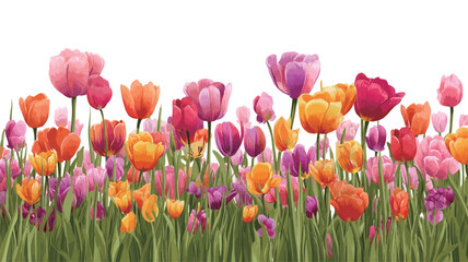 A digital illustration depicting a horizontal border composed of numerous tulips in various colors including pink, purple, orange, and red. The tulips are shown in full bloom with visible petals
