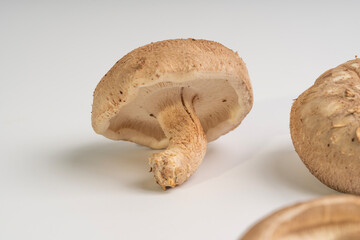 shiitake mushrooms are displayed on a clean white surface.