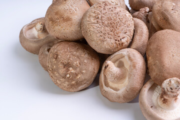 shiitake mushrooms are displayed on a clean white surface.