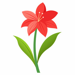 Simple Amaryllis Vector on White