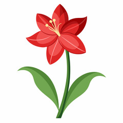Simple Amaryllis Vector on White