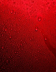 Water, droplets, background, wall — seamless close-up of dark, shiny red surface with detailed water beads evaporating slowly, capturing intricate texture and moisture dynamics on a reflective smooth 