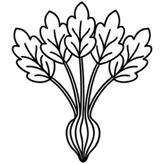 Cress line art vector