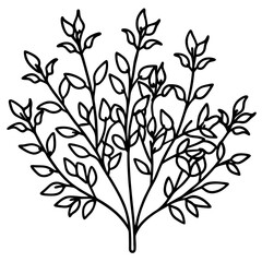 Cress line art vector