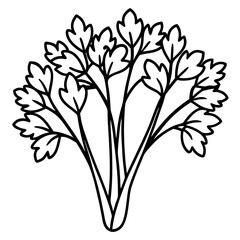 Cress line art vector