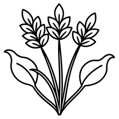 Cress line art vector