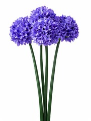 Obraz premium Beautiful Arrangement of Purple Flowers in a Bright Setting with Green Stems Perfect for Home Decor and Floral Decorations
