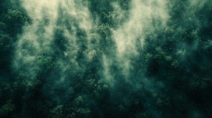 Obraz premium Forest canopy shrouded in mist, ethereal view