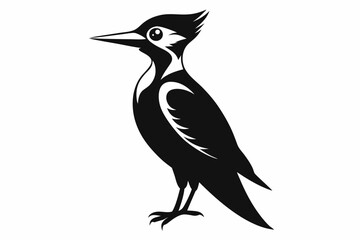 Obraz premium woodpecker sihouette black vector 