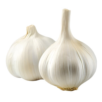 Fresh garlic bulbs ready for culinary use at home