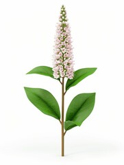 Fototapeta premium Beautiful botanical image of a flowering plant with pink blossoms and green leaves, perfect for nature themes in various design projects