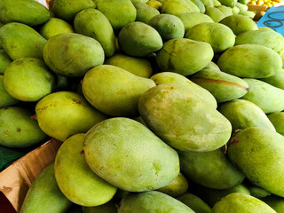 Green mango fruit on white background